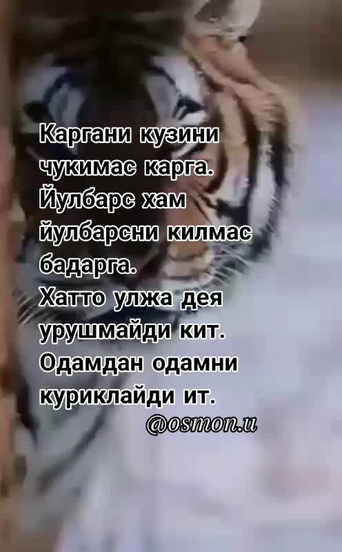 @Океан