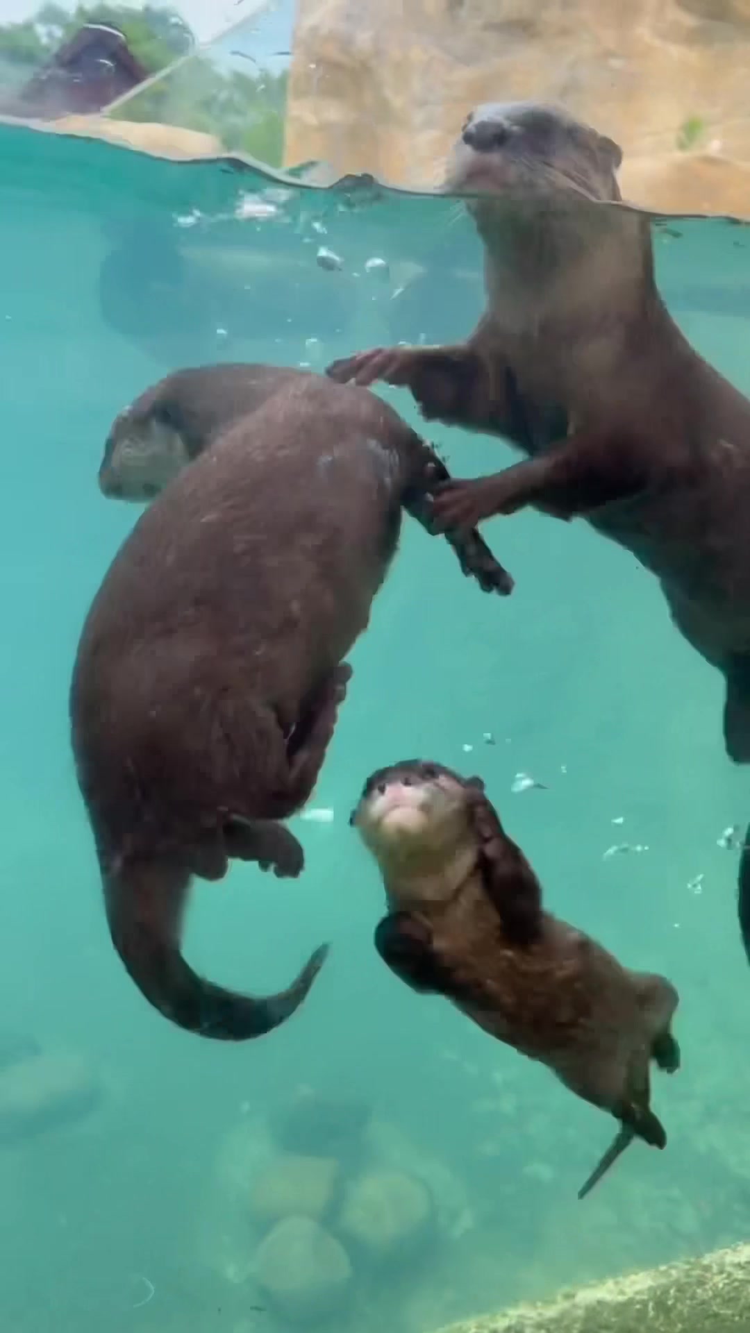 @Cincinnati Zoo