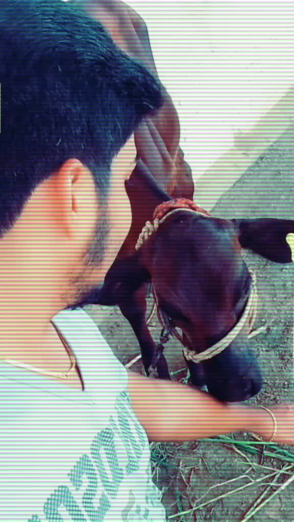 @Gokul