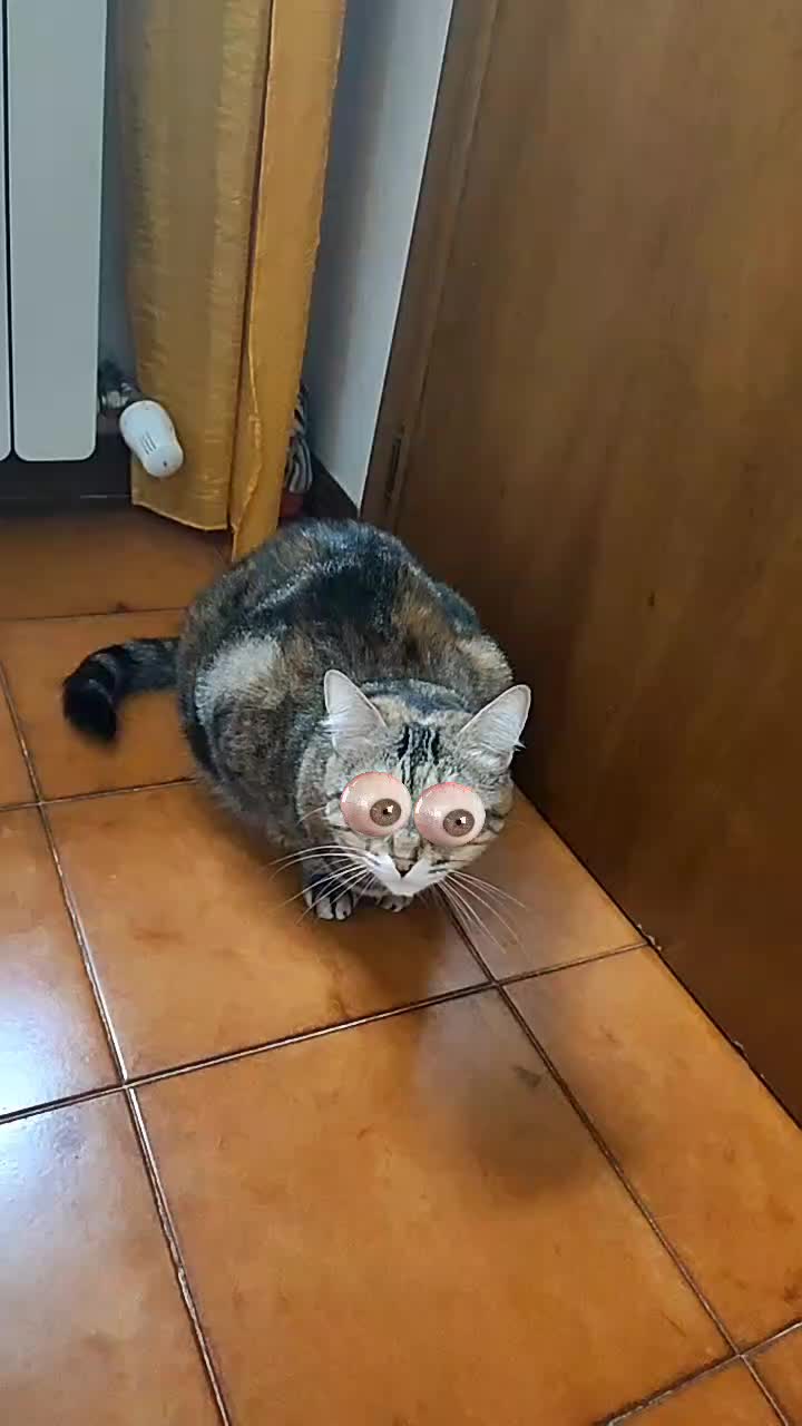 @Claudia Pertici