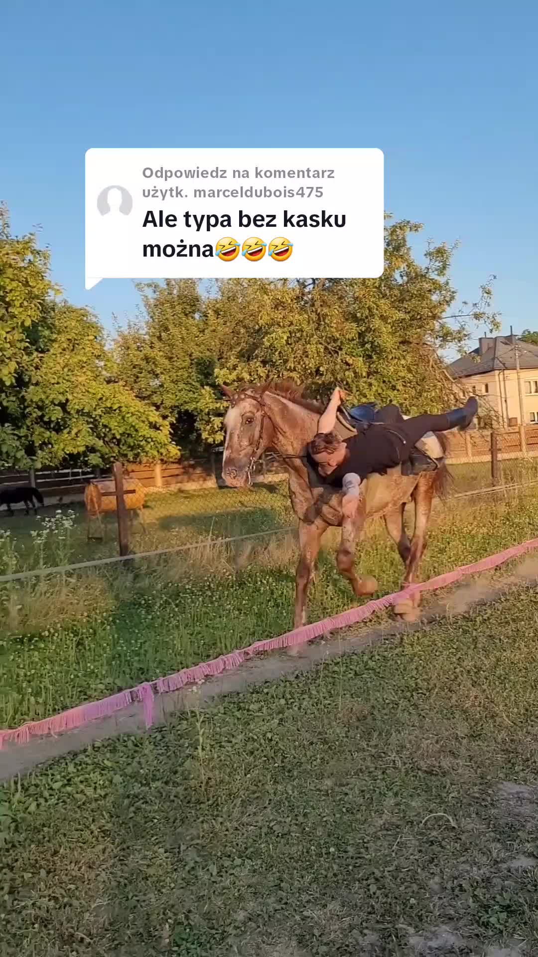 @Natalia