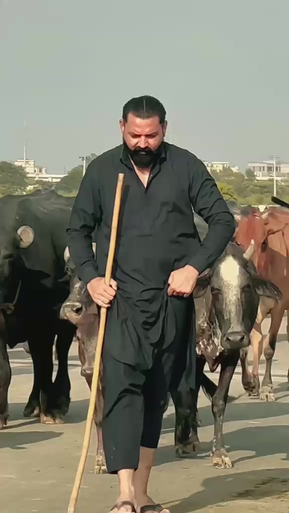 @Mehar sahib