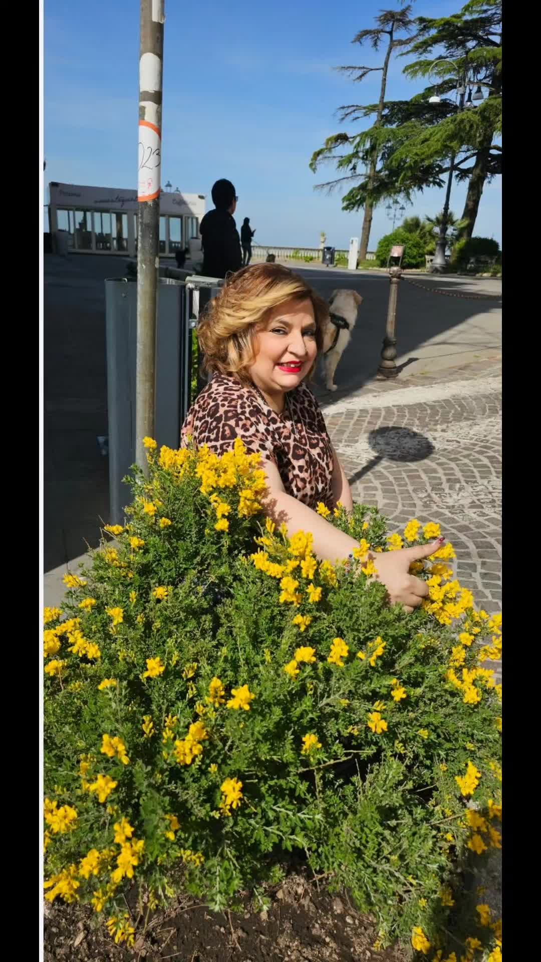 @Carol3 guerriera1458