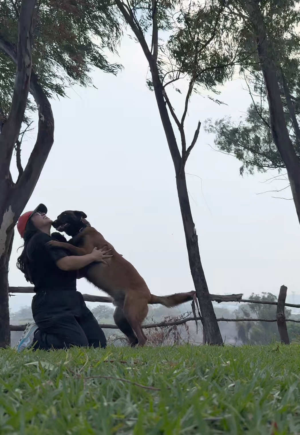 @simon_elmalinois
