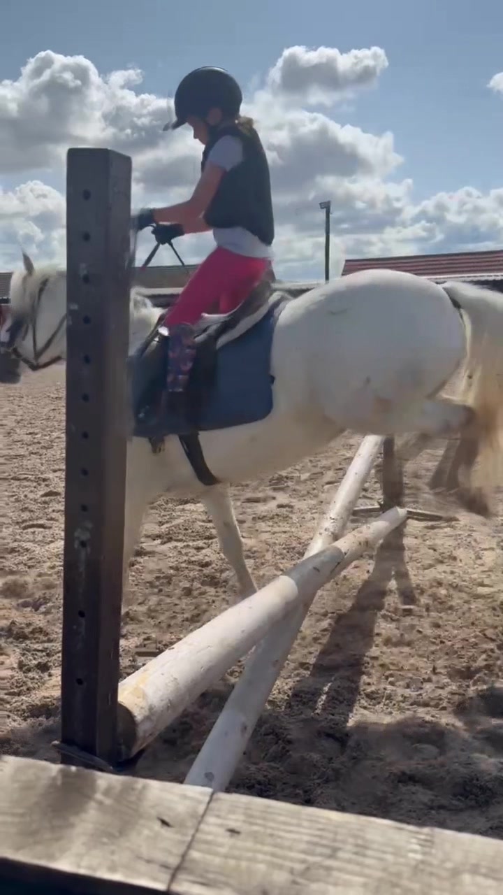 @LottiesHorseAdventures🦄🐴