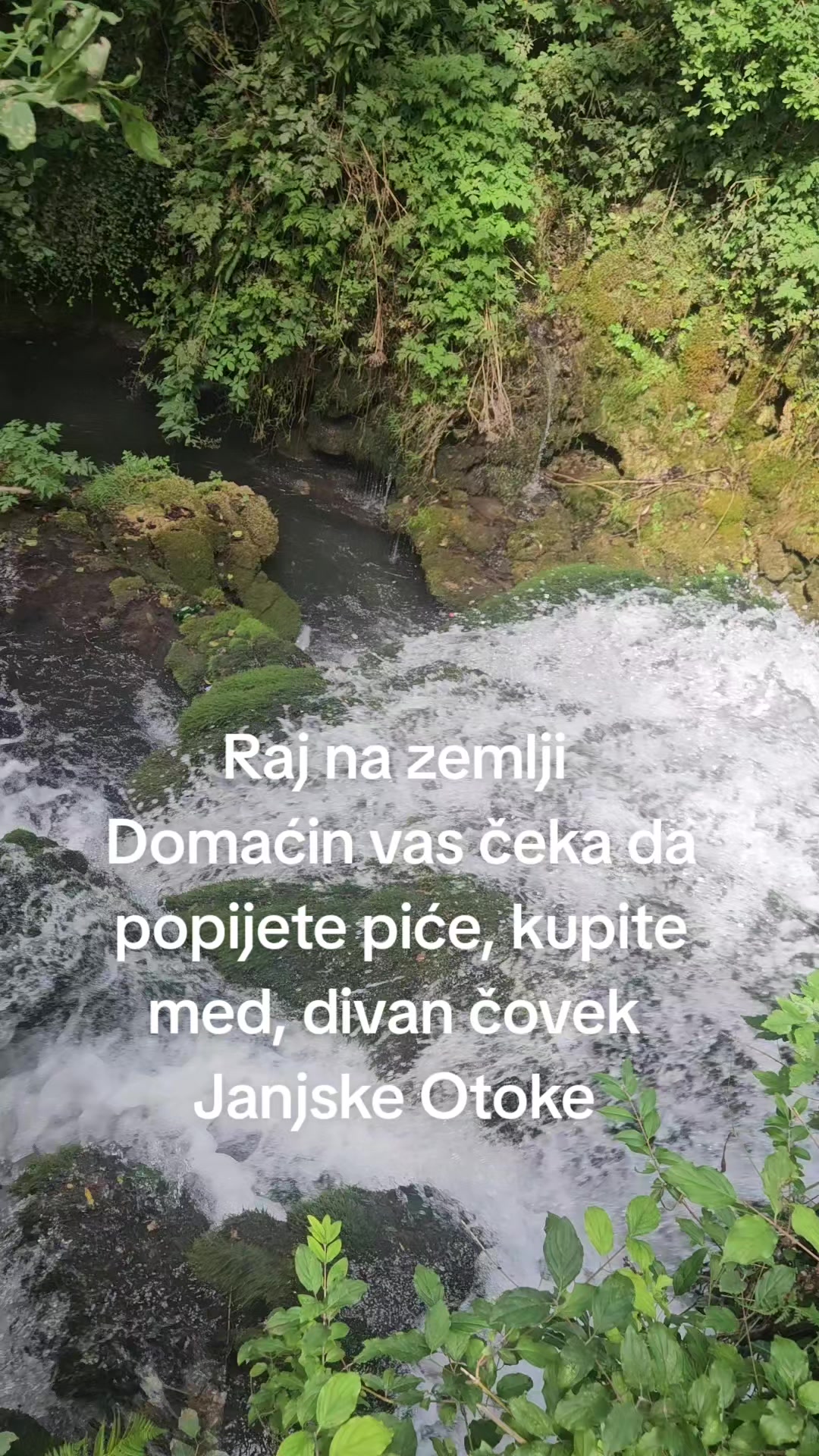 @dragantodic1