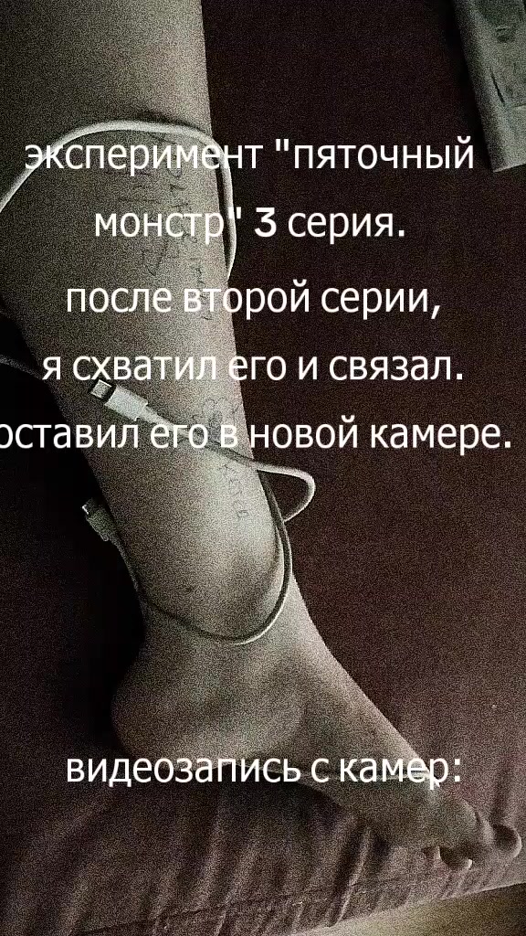 @пятколиз lexus