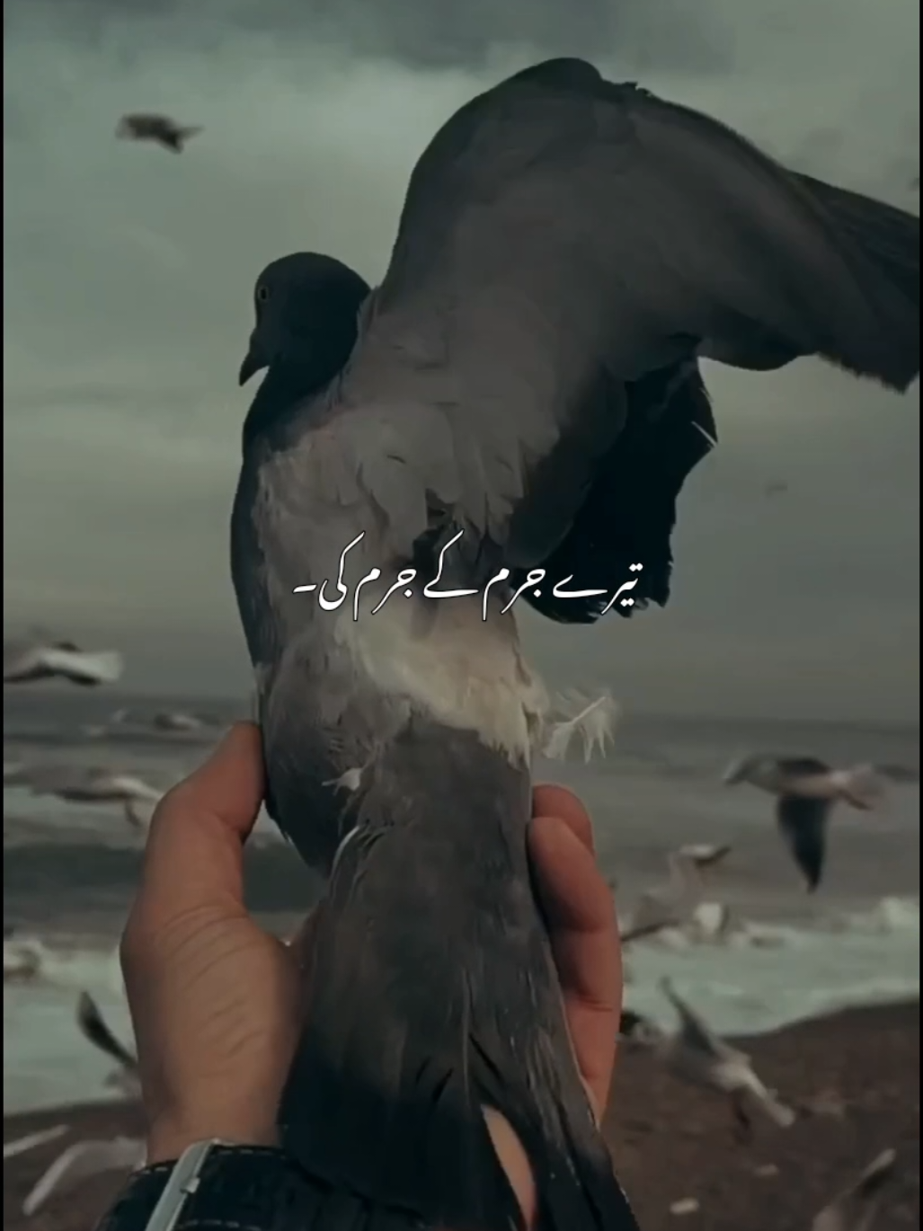 @𝘼𝙐𝙉 𝙓 𝙀𝘿𝙄𝙏𝙕