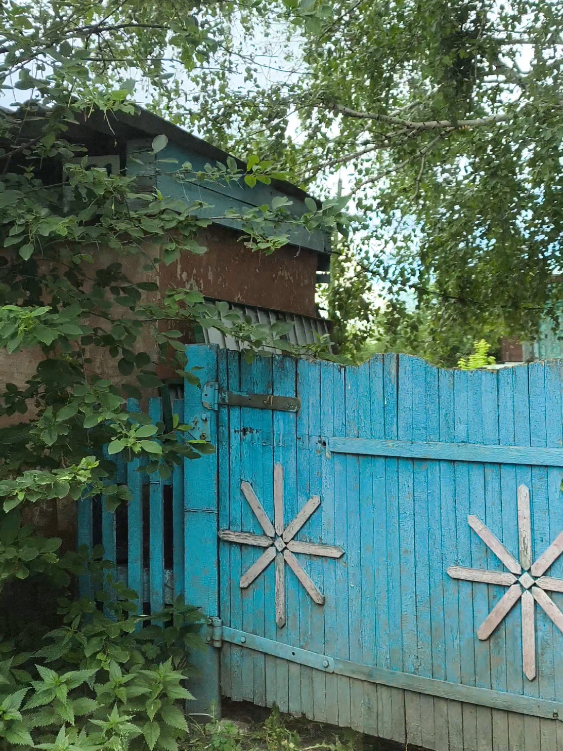 @Женя Садовая
