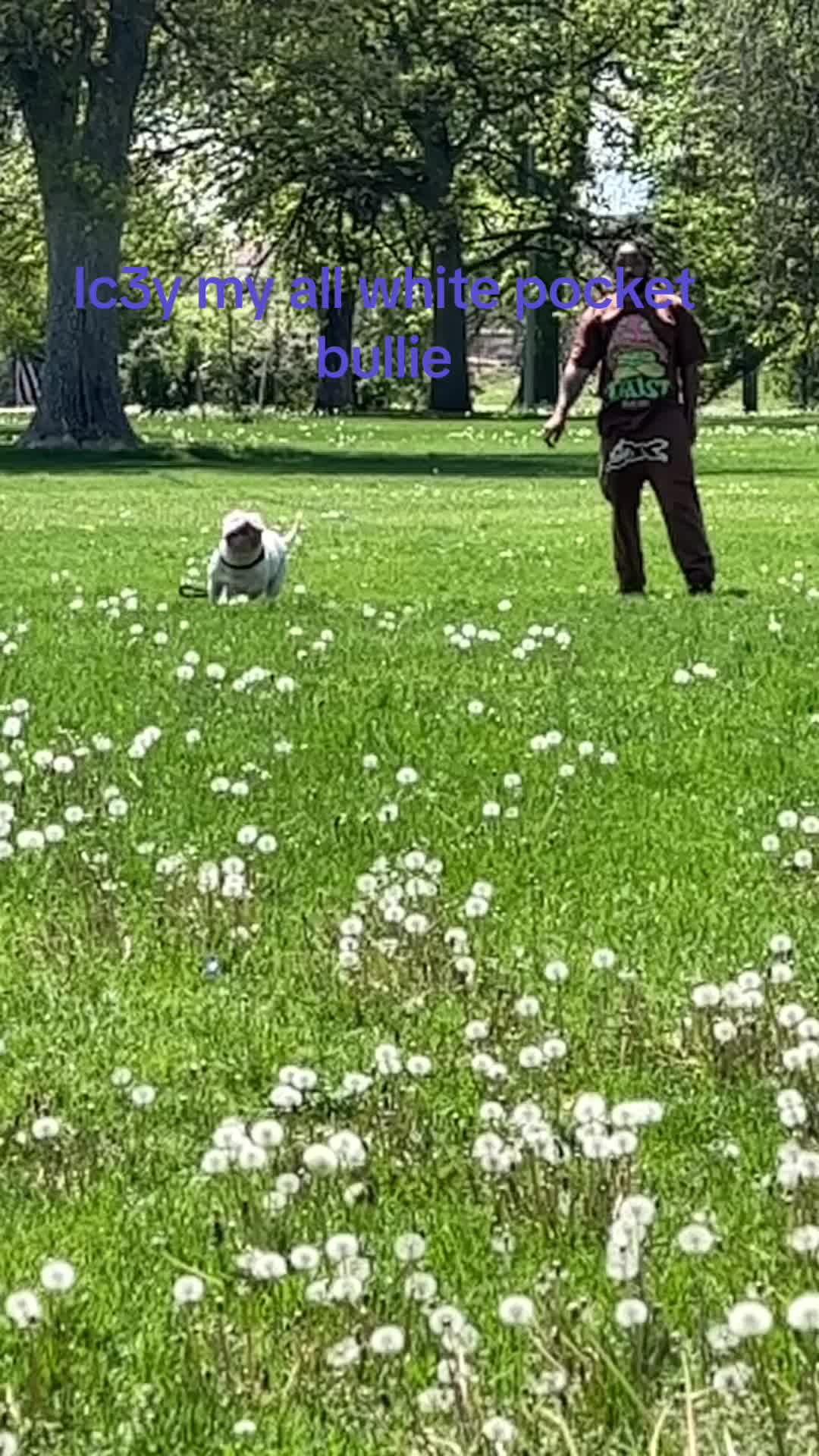 @pondsfreddy