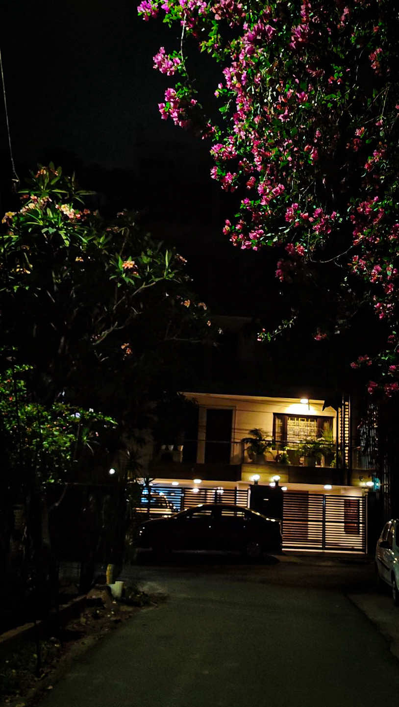 @𝑻𝒂̂𝒏 𝑻𝒉𝒊