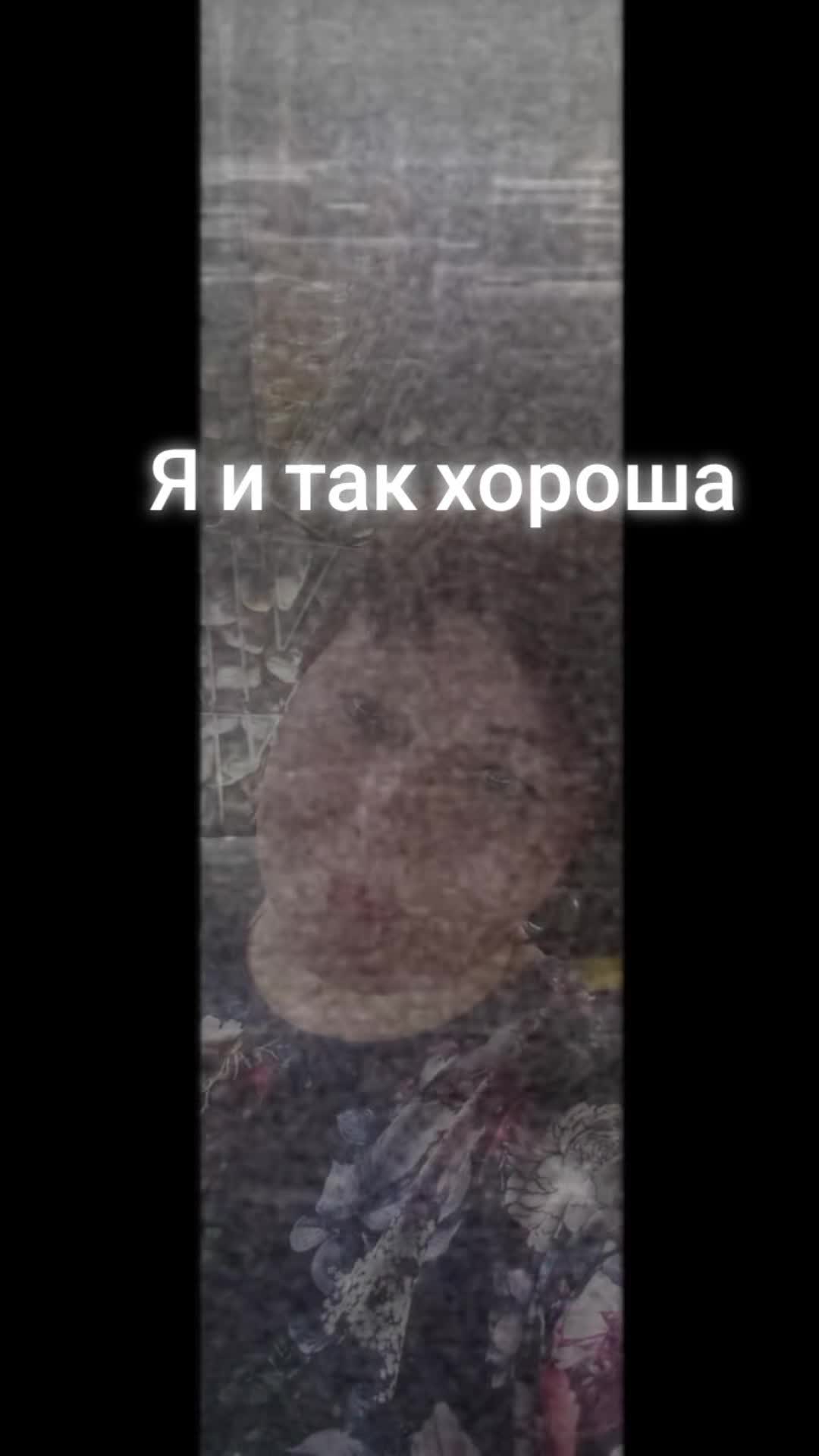 @💥Юлия💥