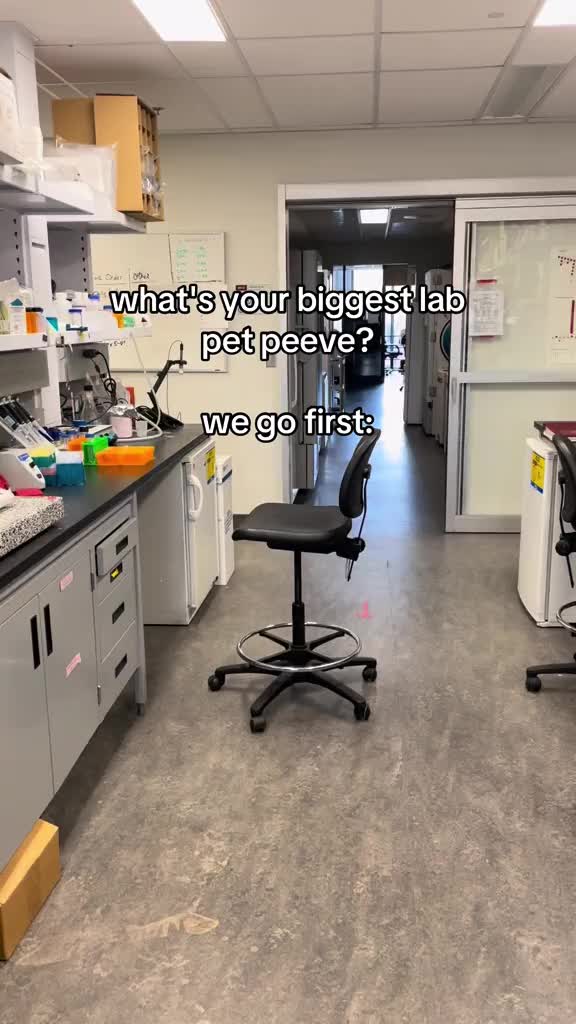 @cluelesslabgirlies