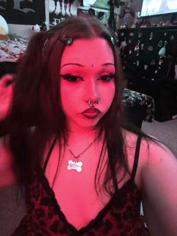 @kat¡e ⋆🐾🦴˚