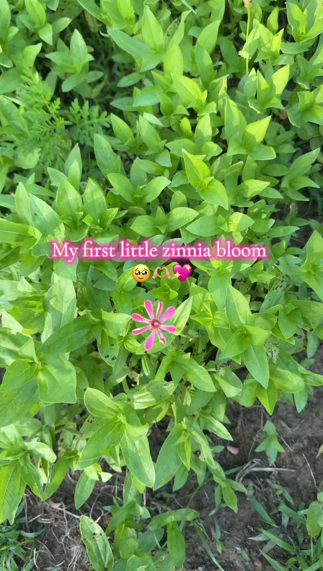 @alyssa ⚡️🖤