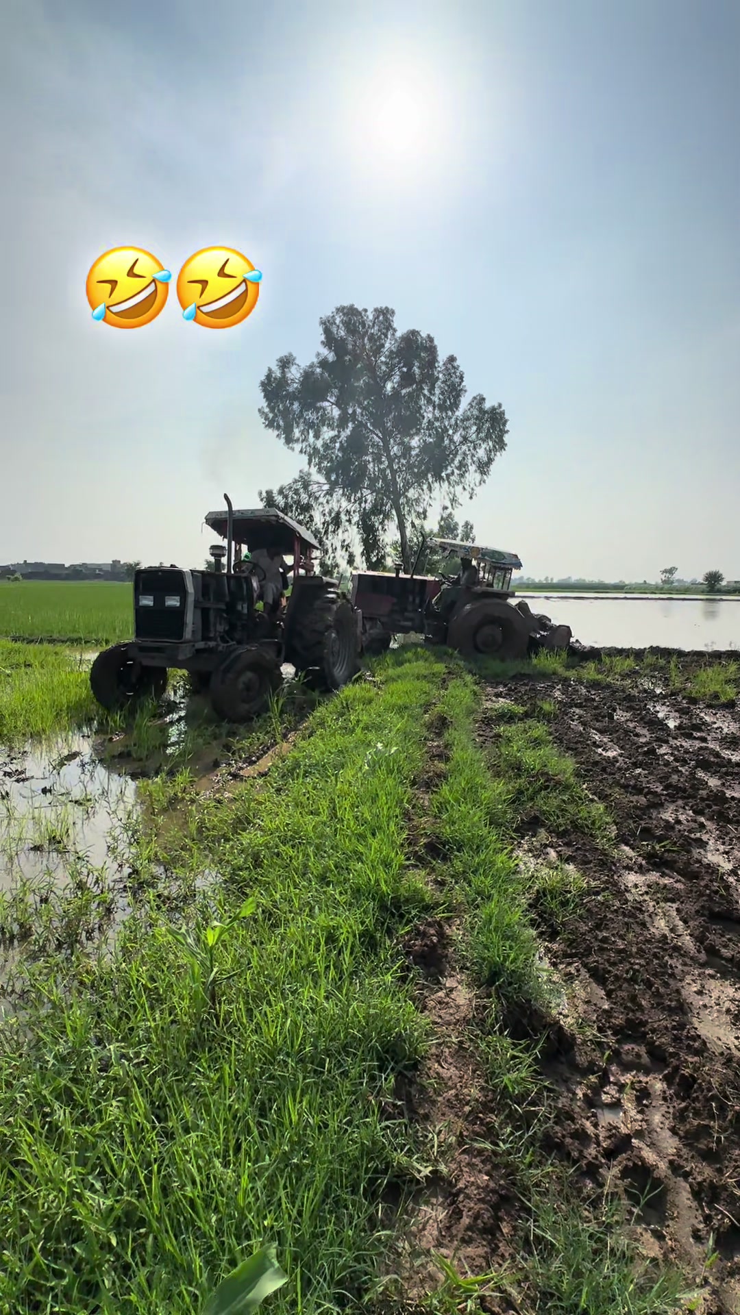 @سبحان زرعی فارم.🙌🌾
