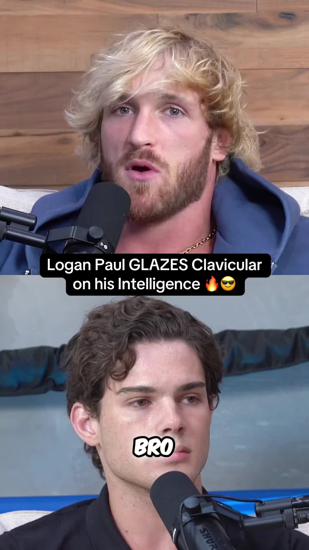 @thejestervault