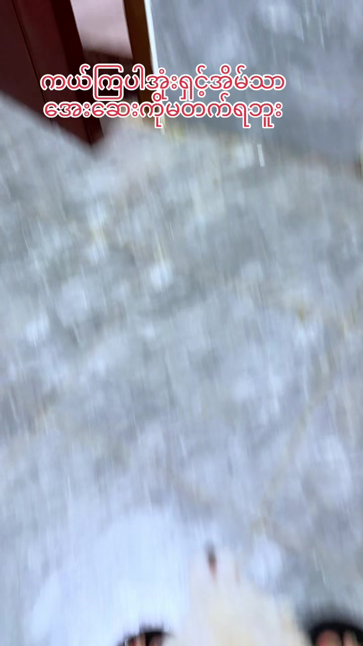 @招财🐶
