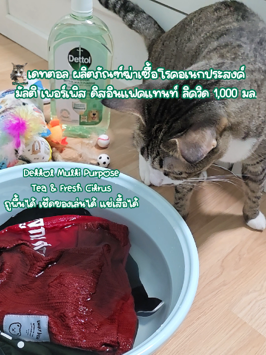 @KhunMini