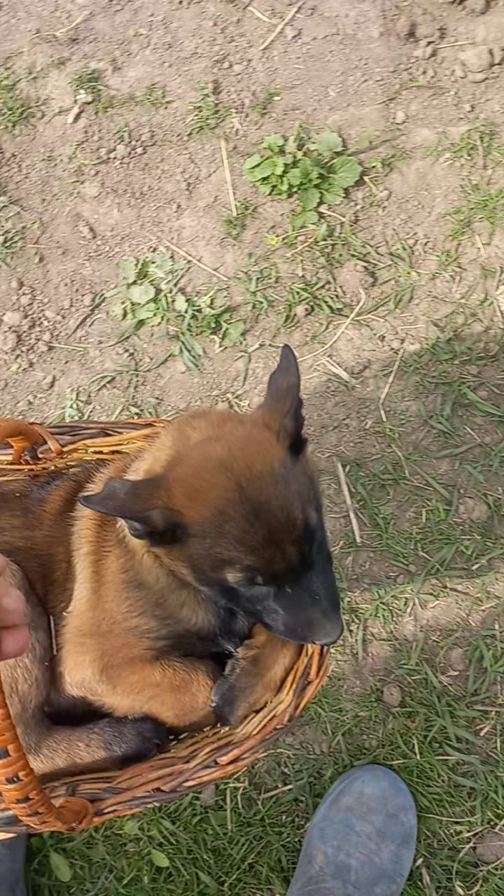 @Євгенія Ізерт