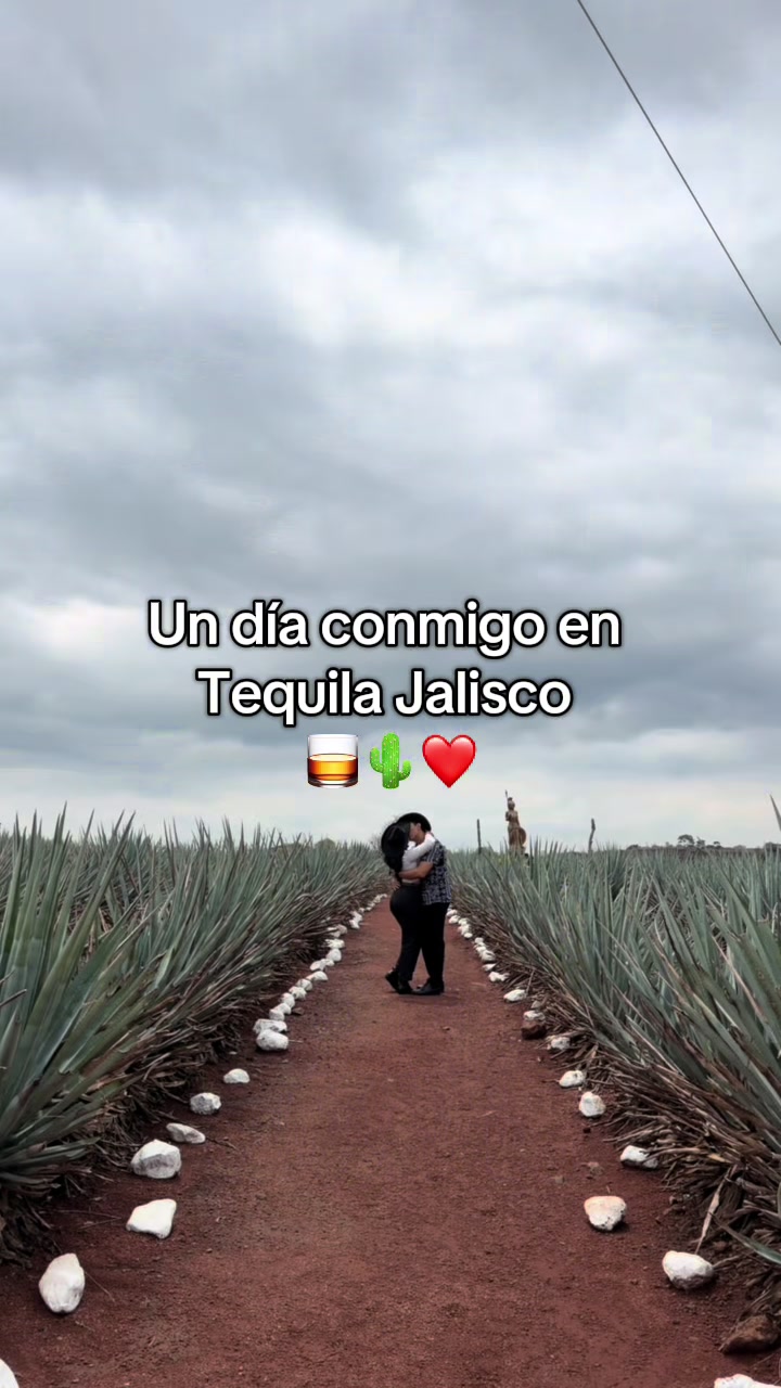 @_danielikald