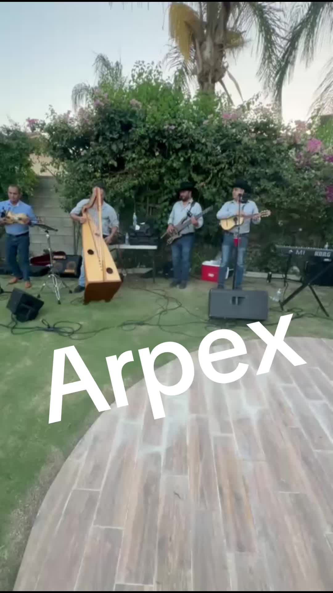 @arpexoficial