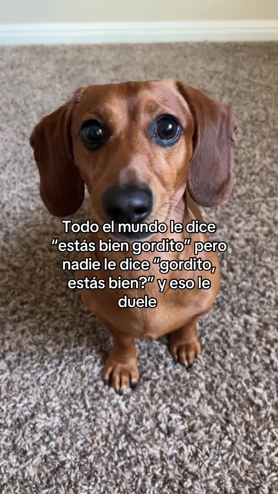 @Slinky Severus-Doo