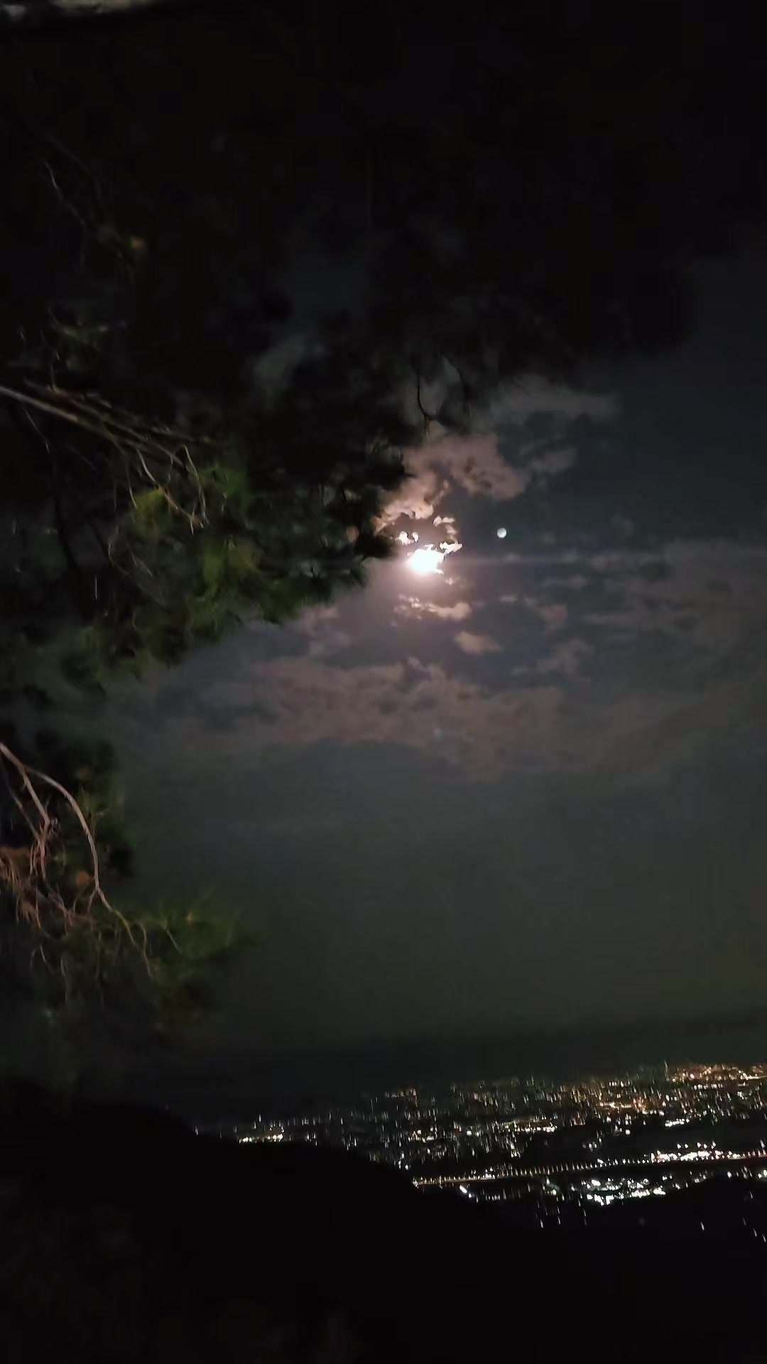 @ₒᵣdᵢₙₐᵣy⛰️ₜᵣₐᵥₑₗₗₑᵣ