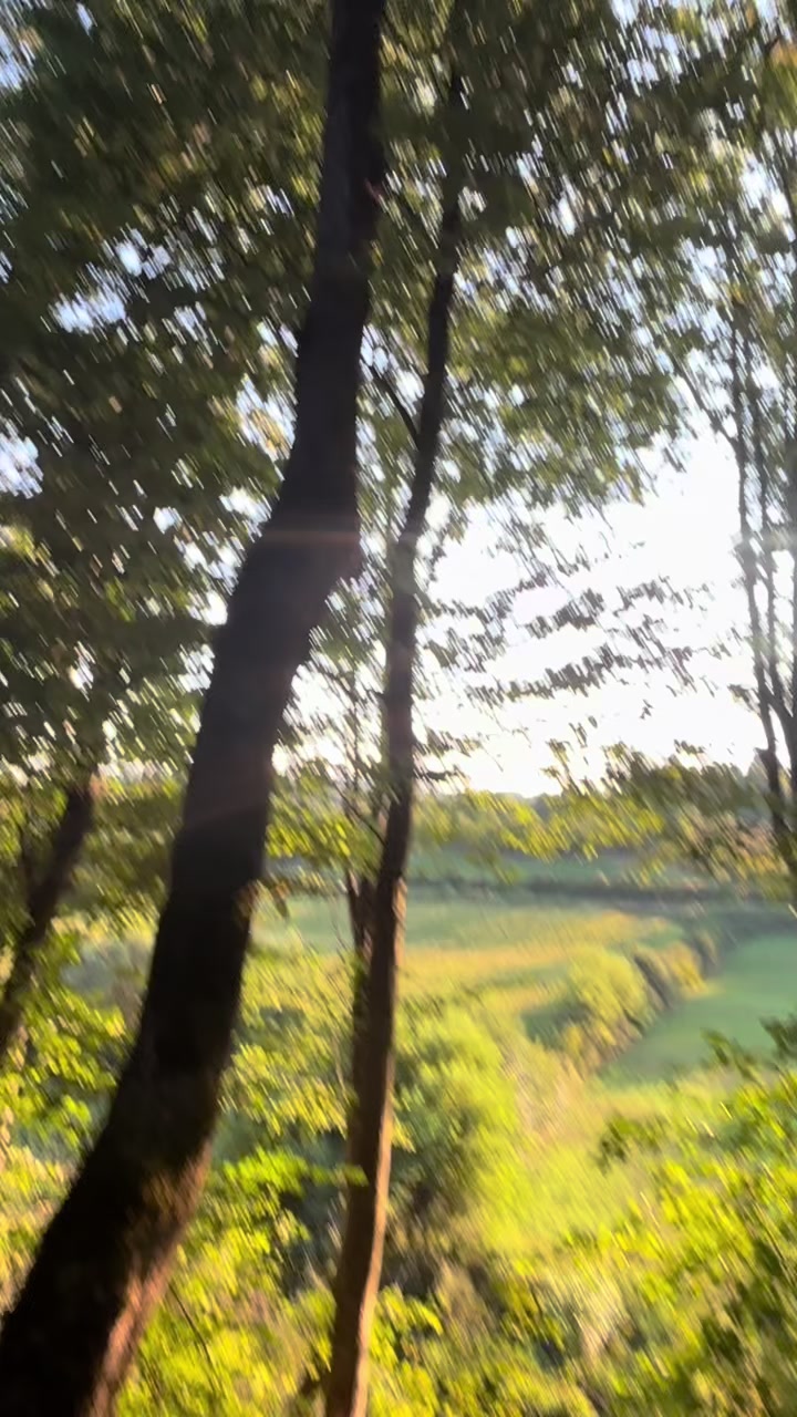 @DEV&Oslash;X 〆