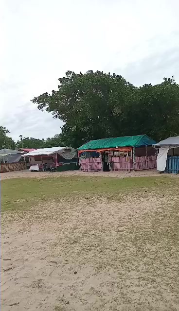 @shah
