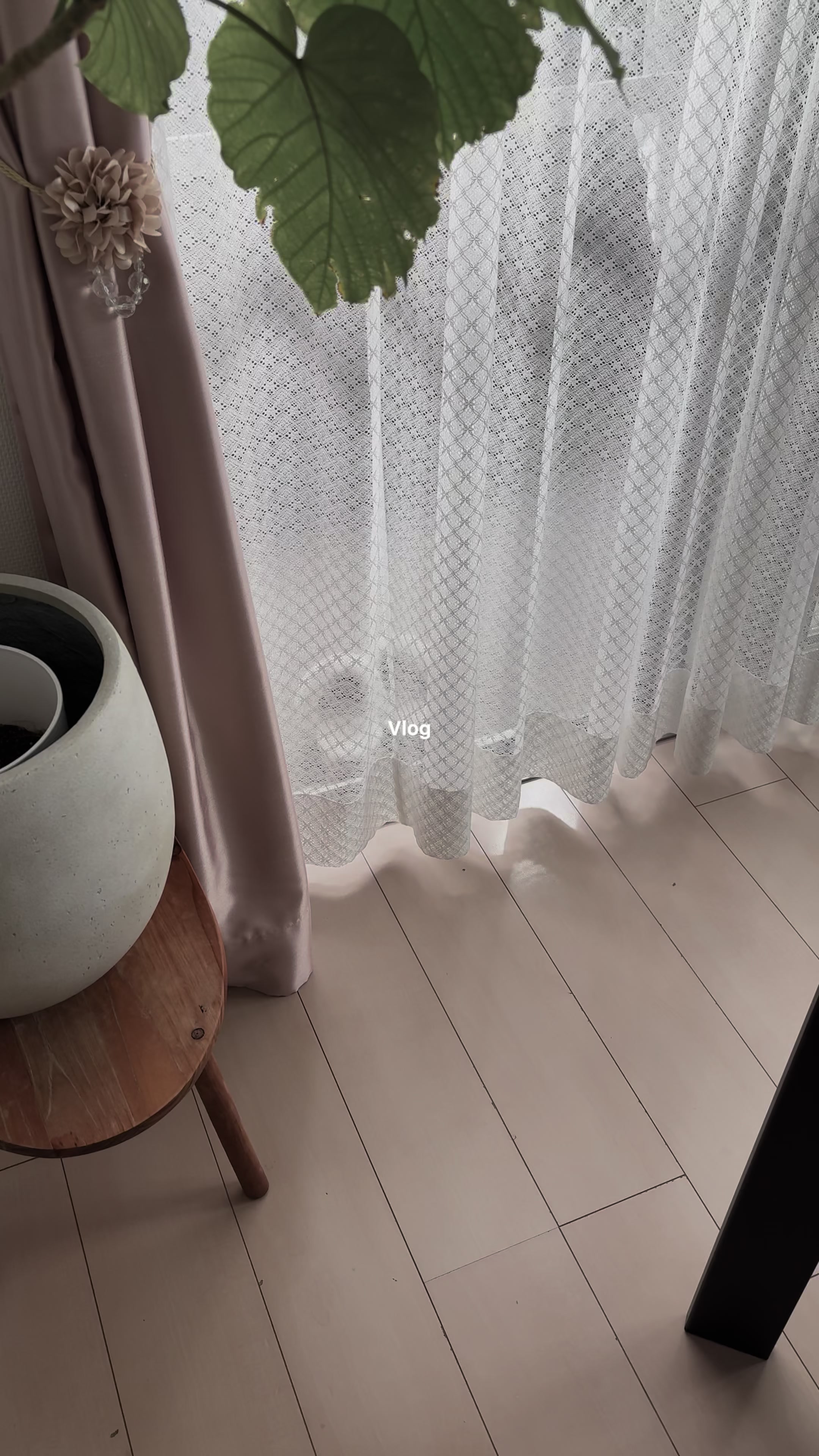 @ソ ル
