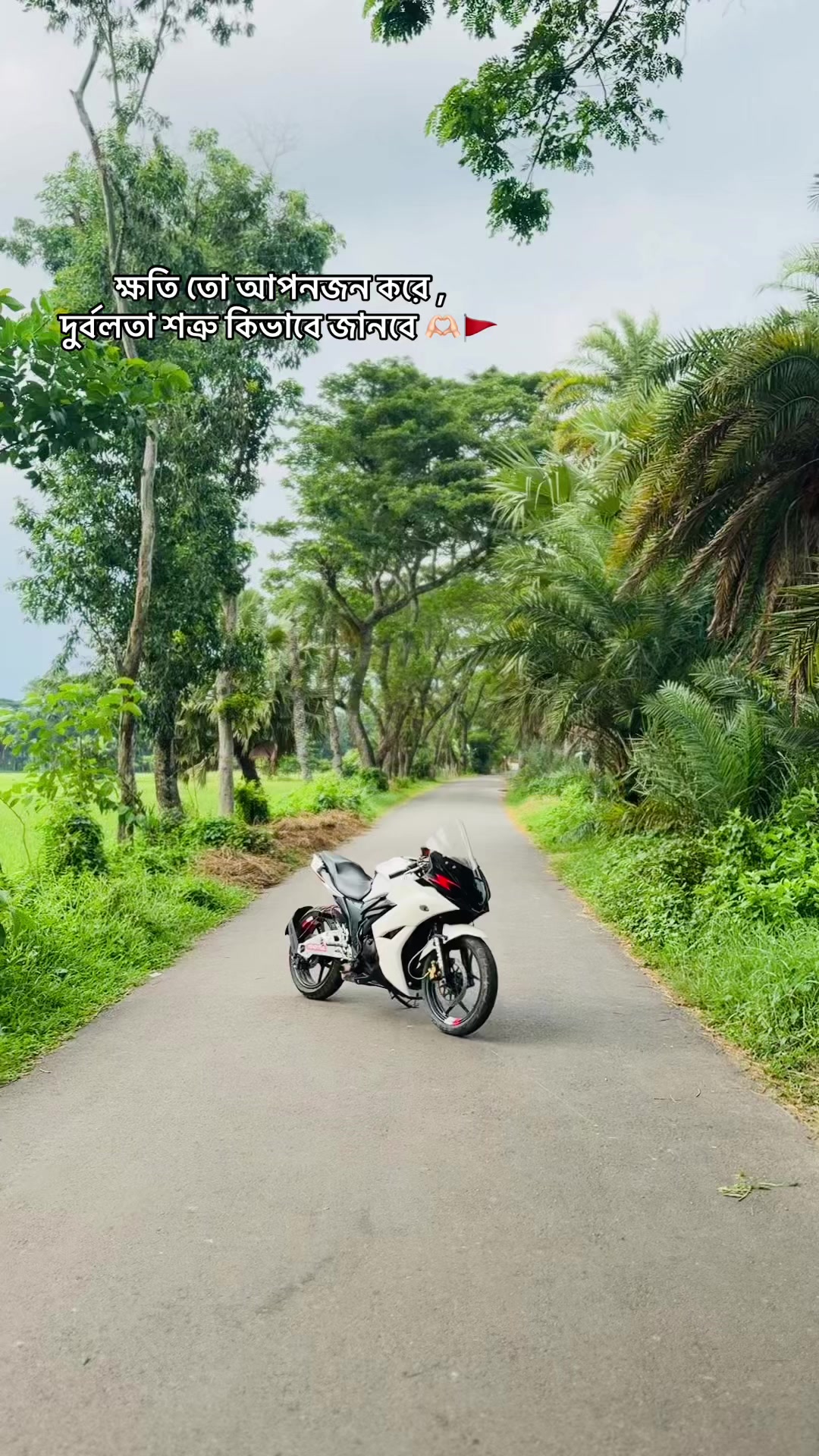 @ALAMIN BHAI 🚀