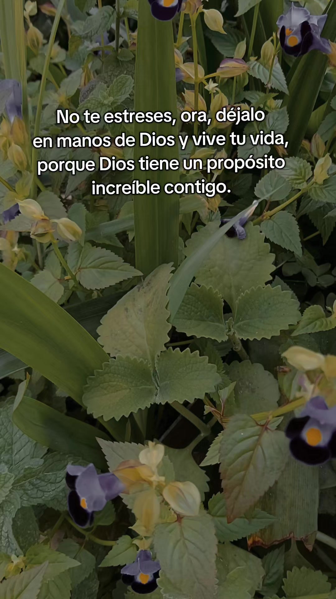 @🥀ℝ𝕀𝕋𝔸 . .
