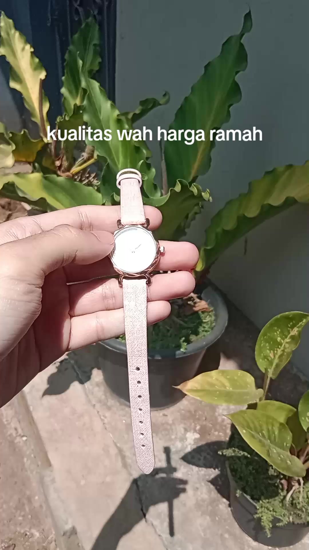 @S-tetik 🛒