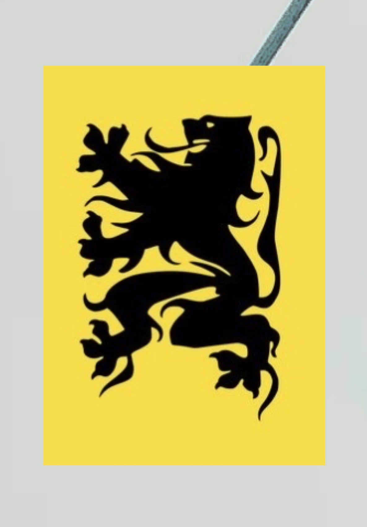 @🤍⚡️Prins Van Hasselt🤍⚡️