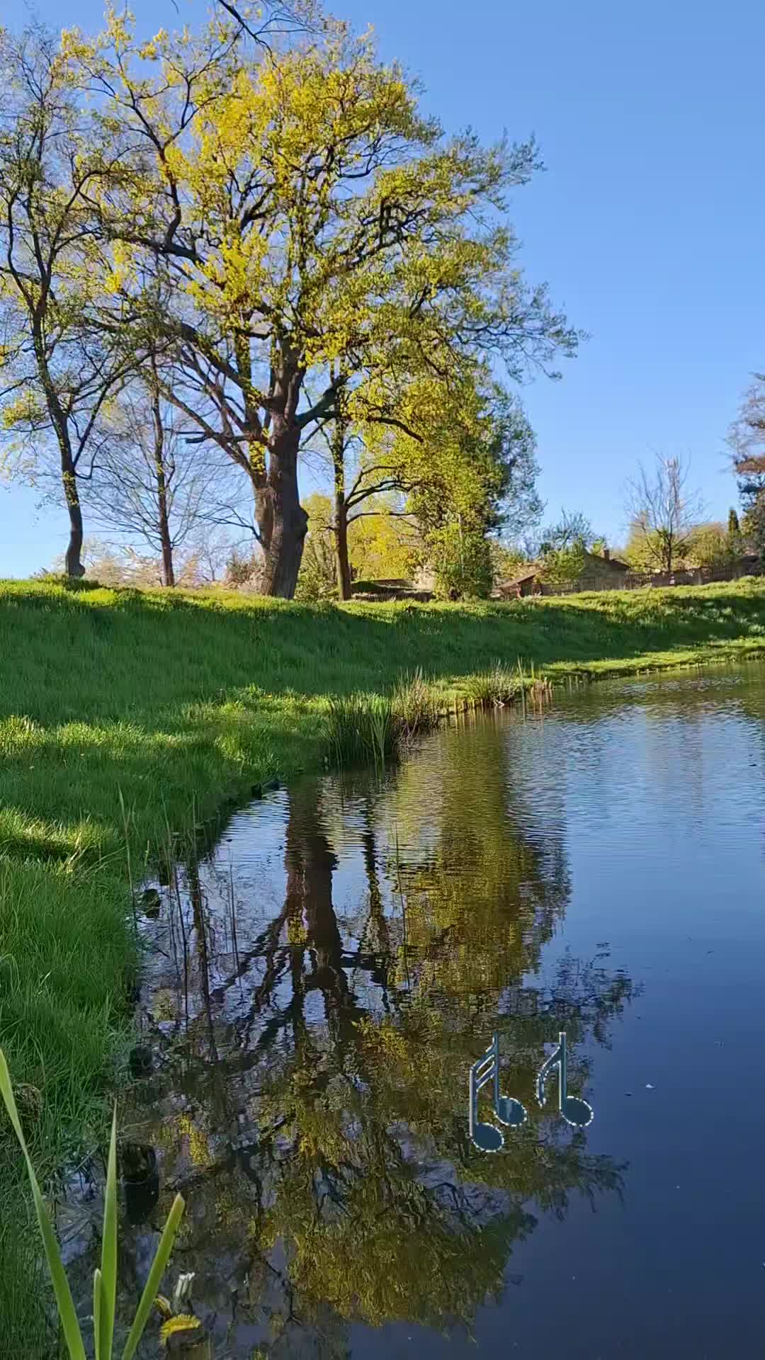 @𝓐𝓵𝓲𝓷𝓪💕