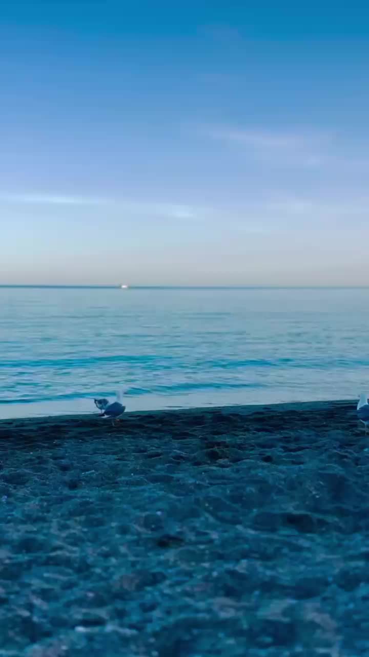 @nunziazatti