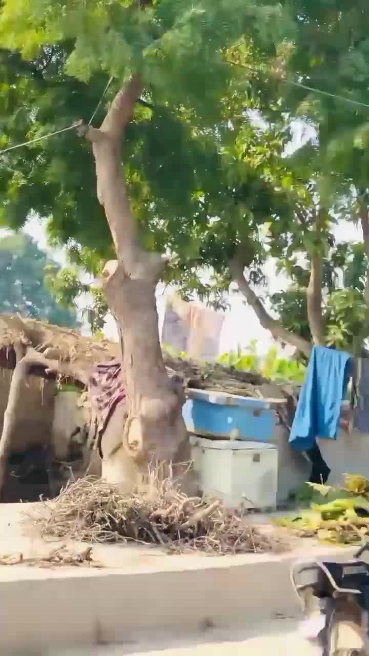 @MrKing110_2