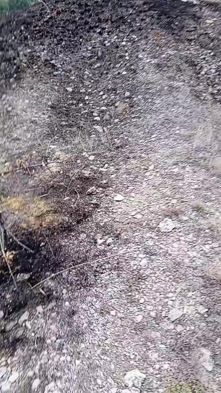 @килька