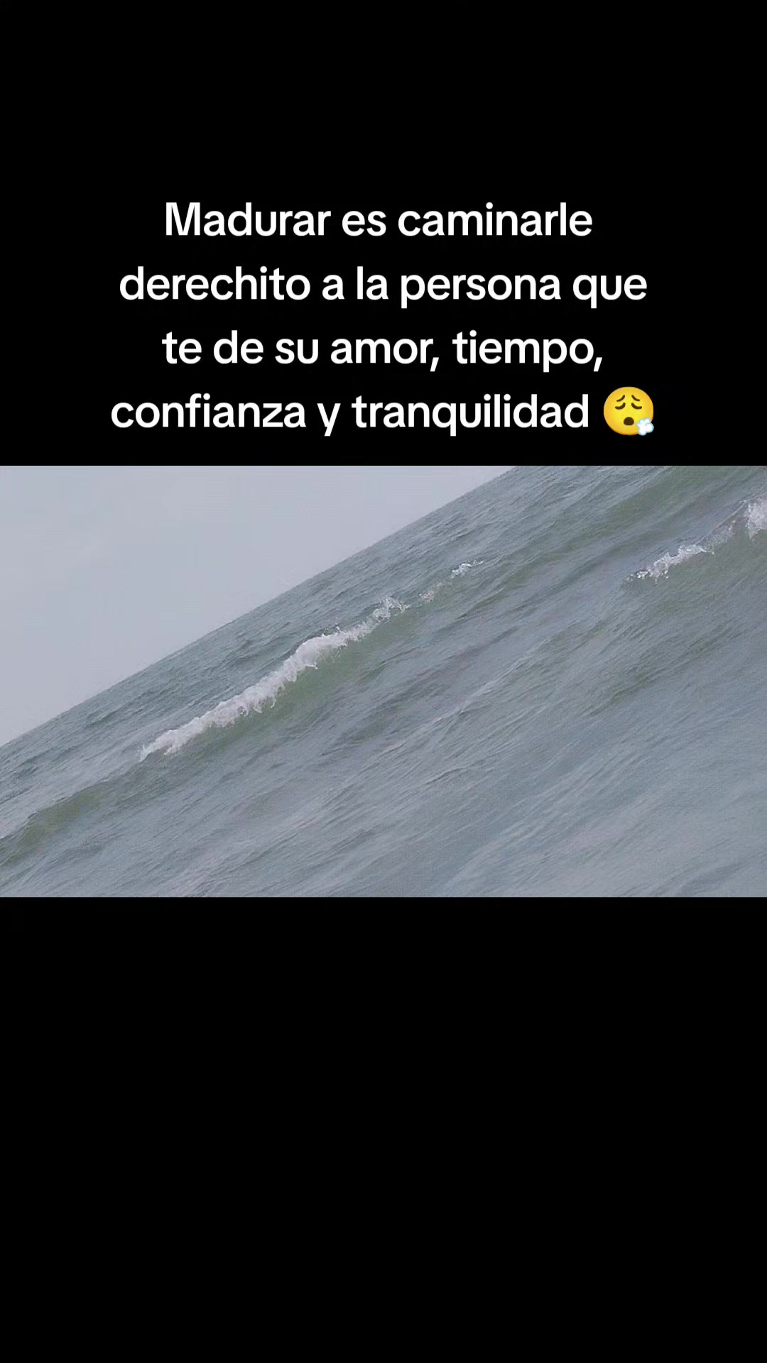 @Negra Bella