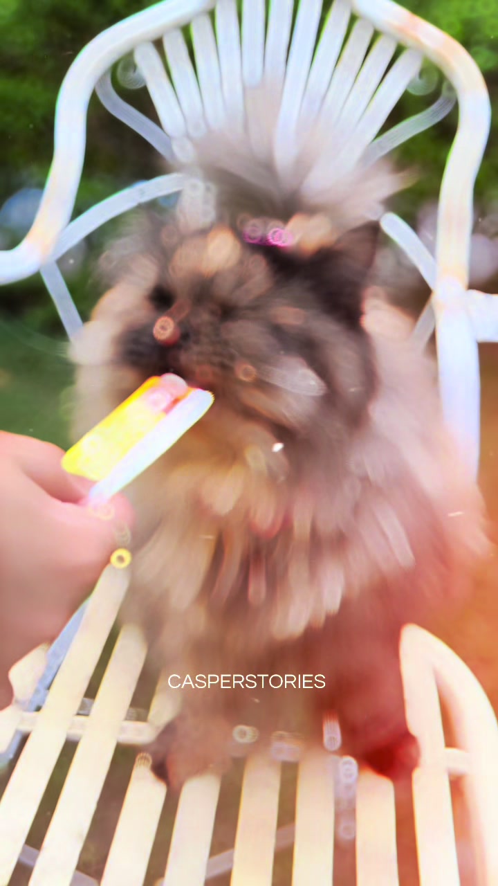 @𝑪𝒂𝒔𝒑𝒆𝒓 & 𝑴𝒊𝒏𝒏𝒊𝒆 🐾