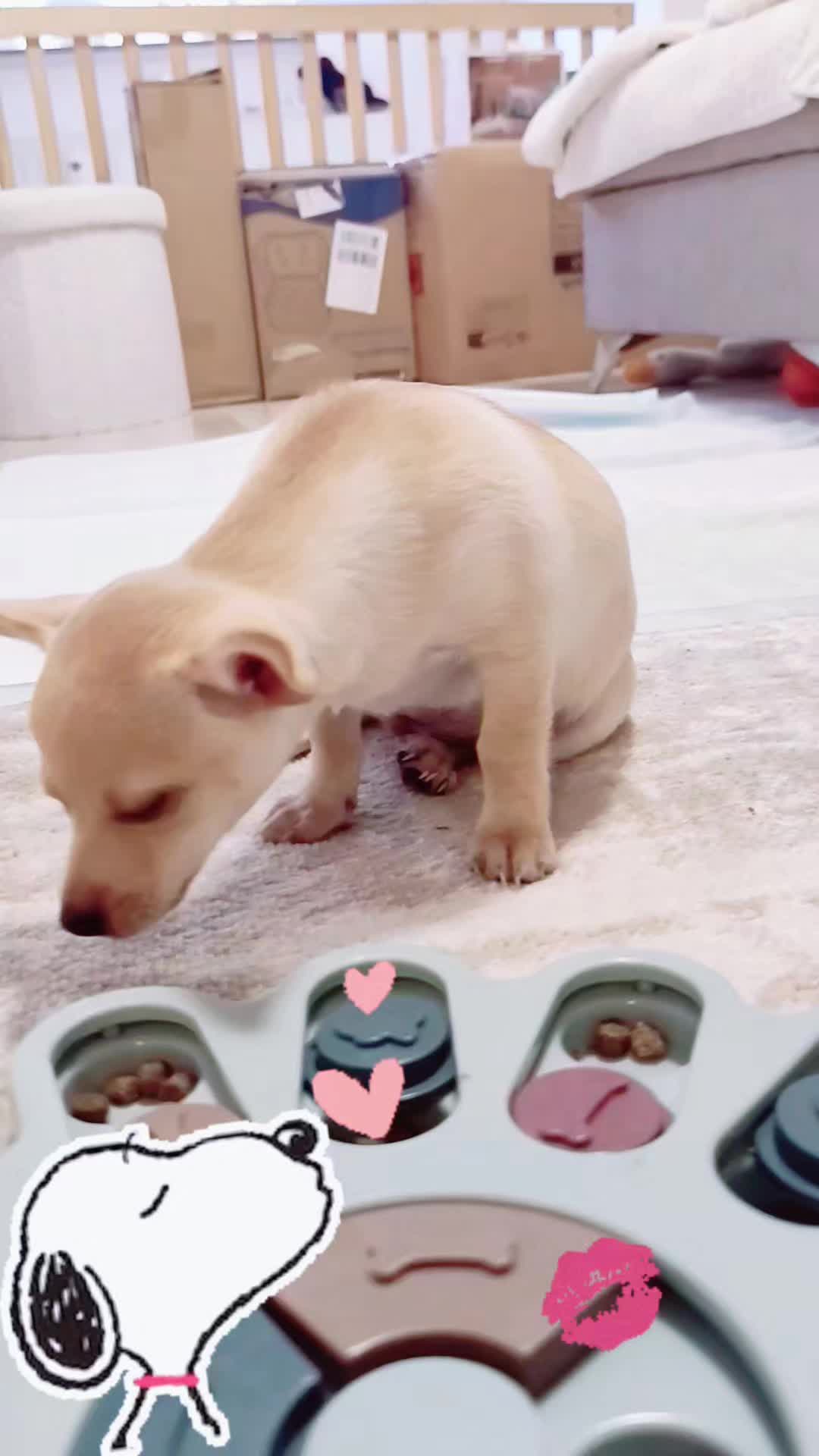 @๐บ๊ฅ๐บ ๐๐จ๐ฏ๐_๐๐ข๐ฑ๐ข ๐บ๊ฅ๐บ