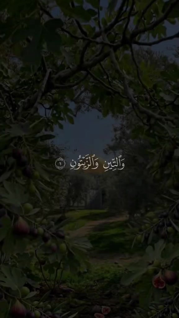 @واثقه بالله
