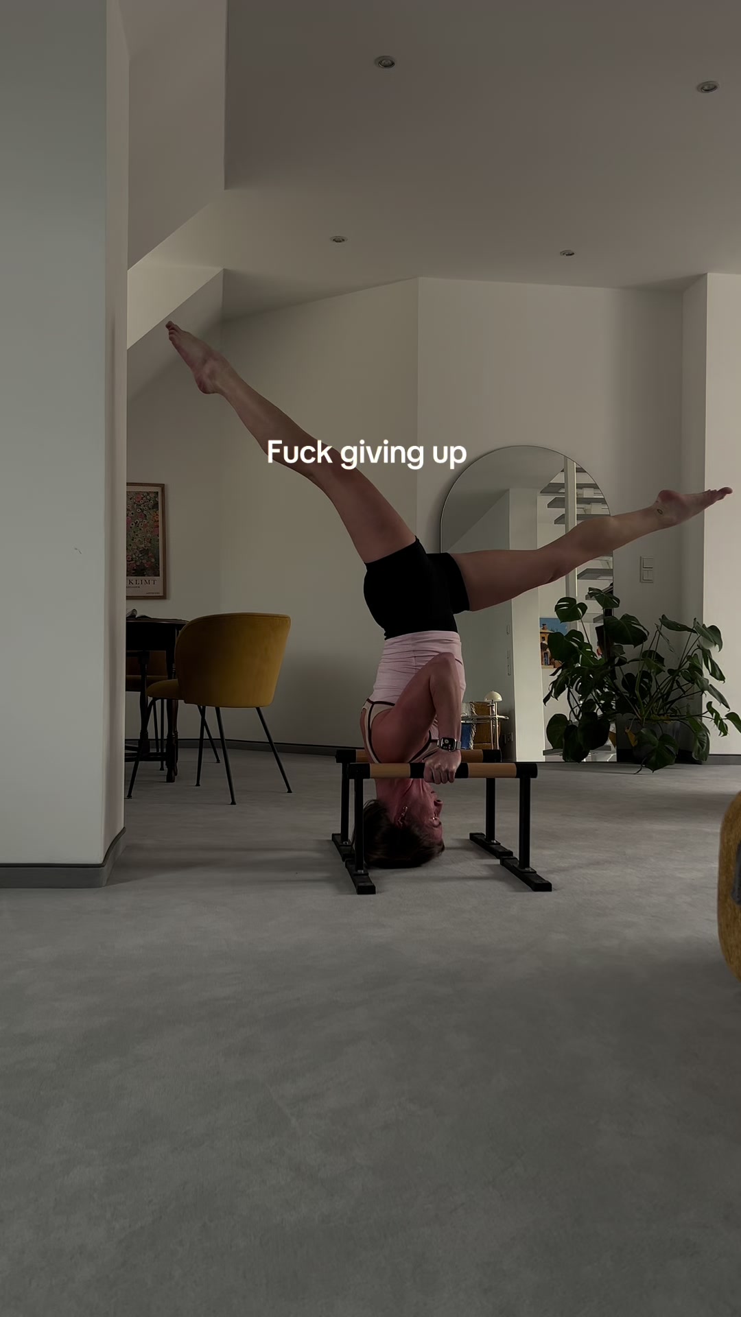 @fledermors