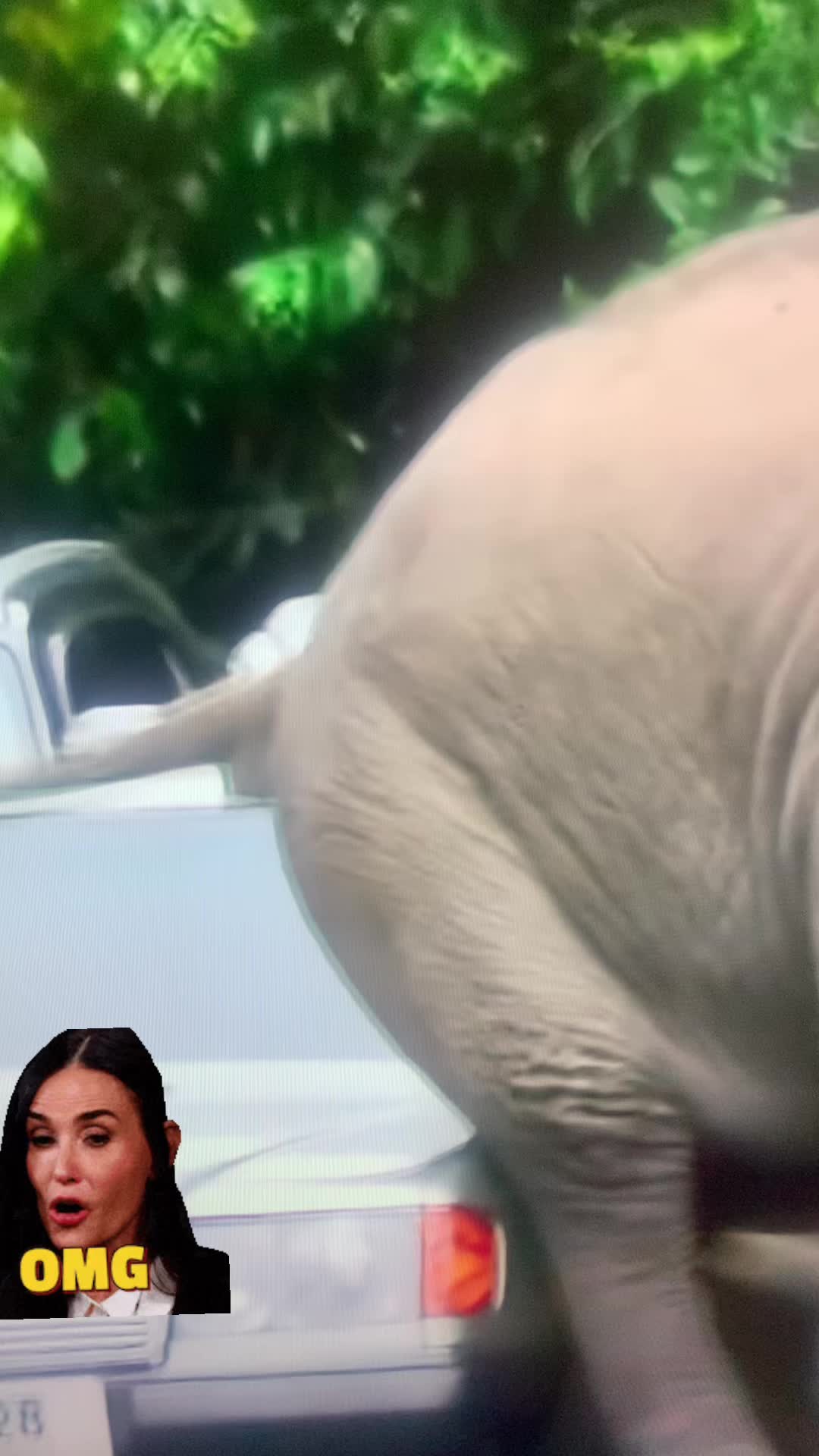 @user214163267829