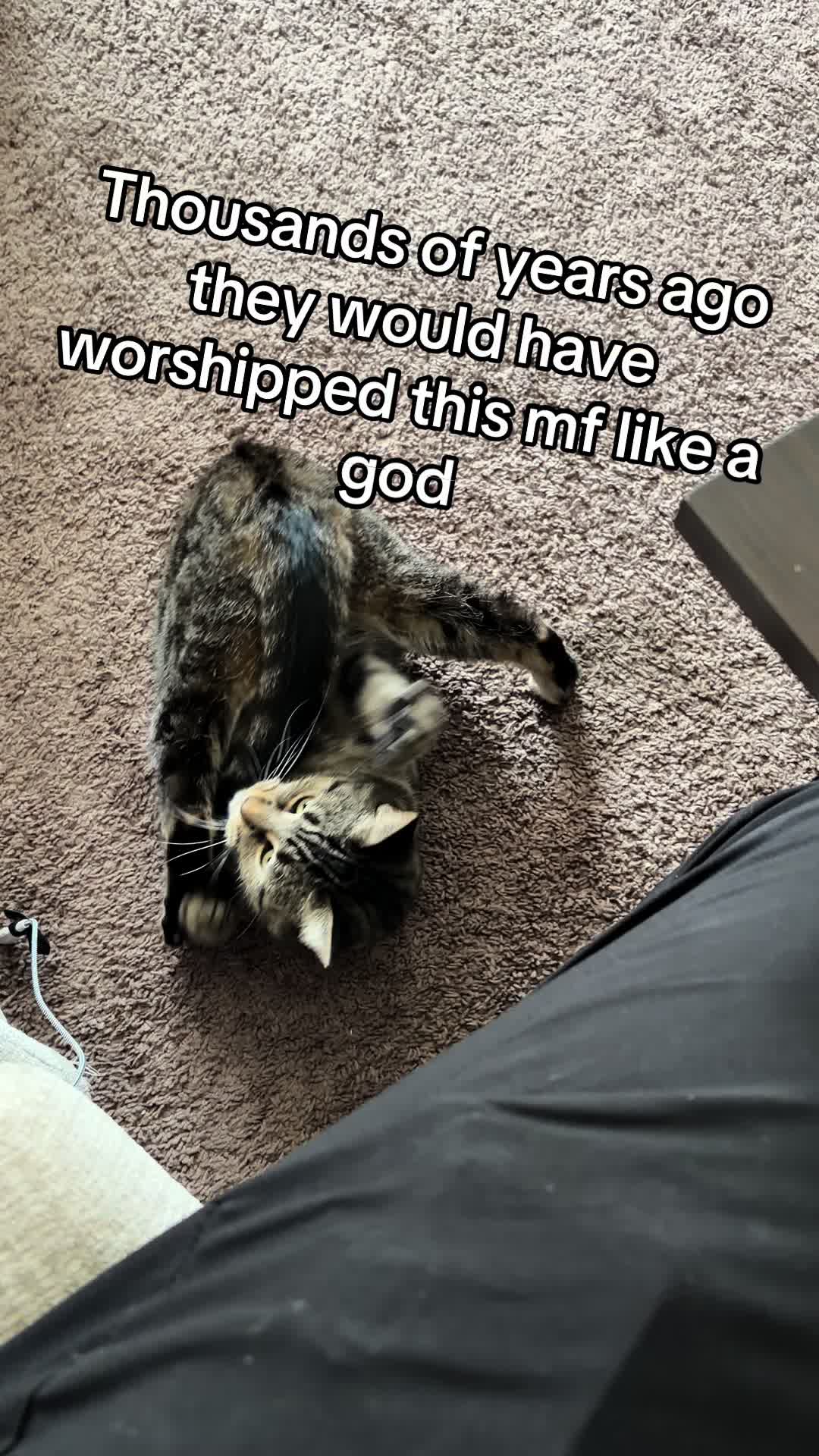 @caieb13