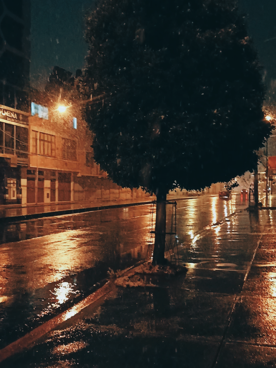 @Alexandra Paola