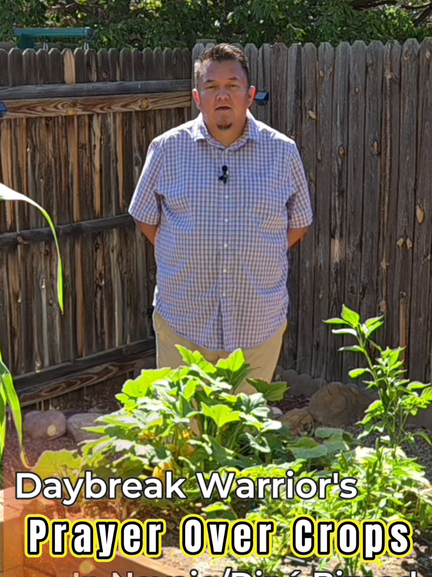@Daybreak Warrior