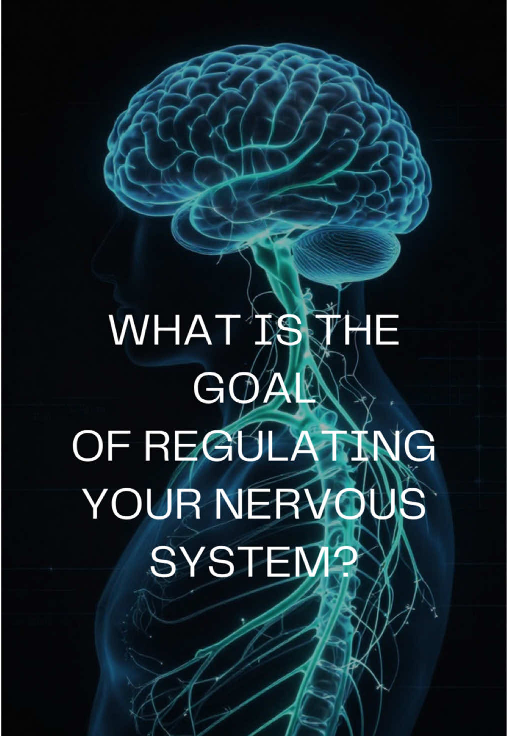@Dr. Doug | Nervous System