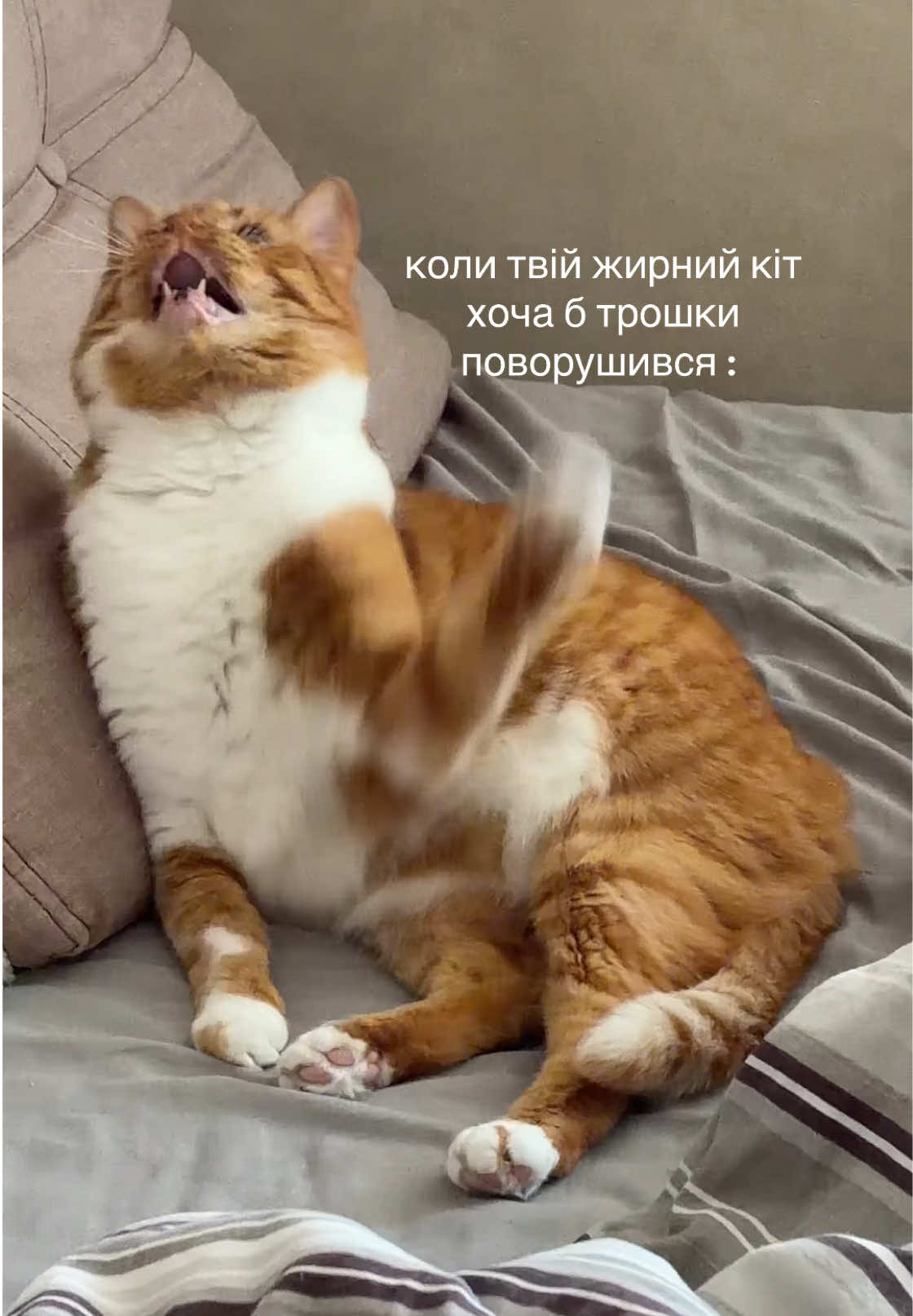 @тгк : даночка боєва